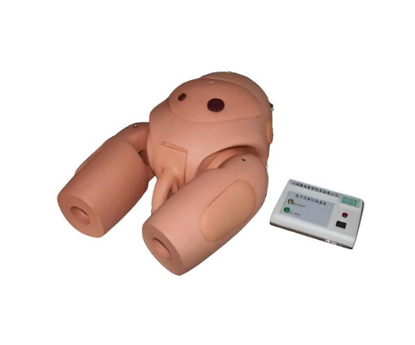 Untitled design (79)