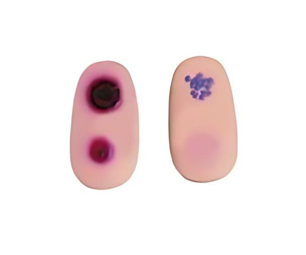 Untitled design (81)