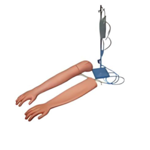 Venipuncture & Intramuscular Injection Arm