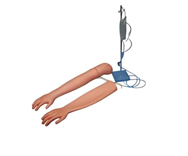 Venipuncture & Intramuscular Injection Arm Venipuncture & Intramuscular Injection Arm