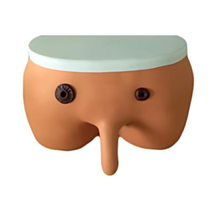 Ostomy Nursing Simulator