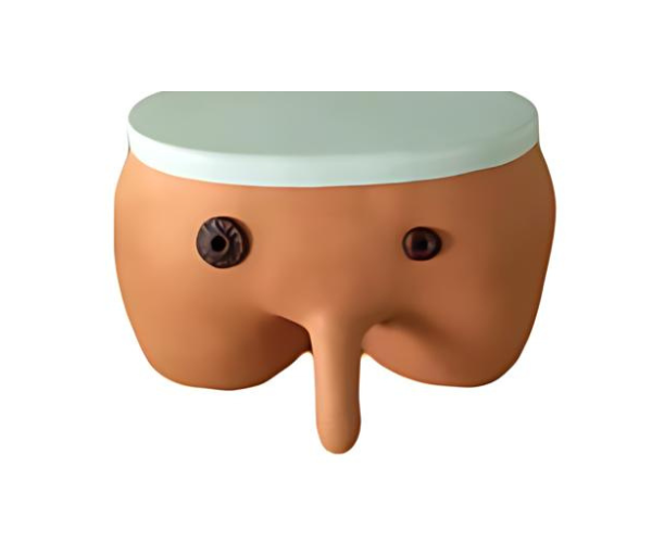 Ostomy Nursing Simulator Ostomy Nursing Simulator