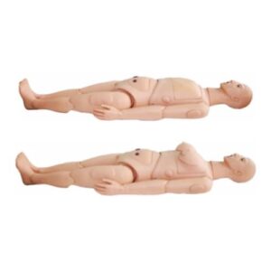 Advanced Unisex Nursing Manikin with Organs