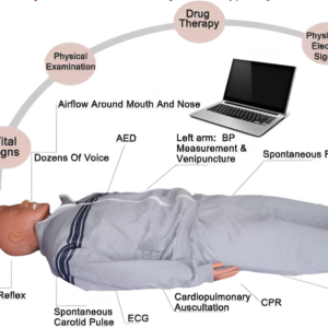 Man High Intelligence Comprehensive Group Emergency Training System