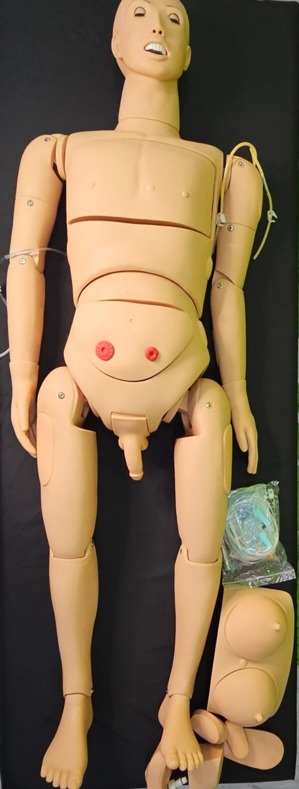 Advanced Unisex Nursing Manikin with Organs