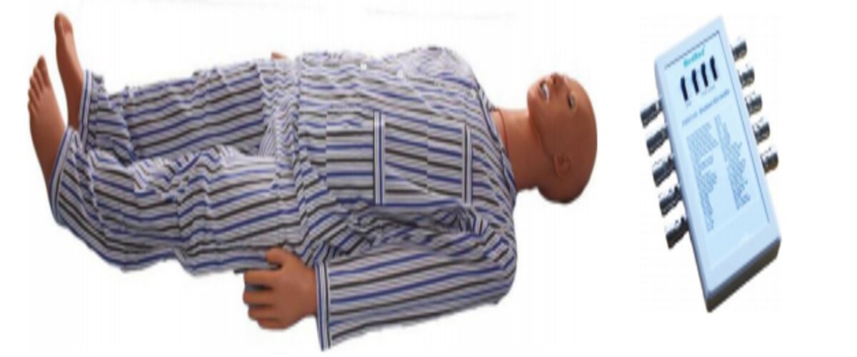 ECG Manikin (Standalone) ECG Manikin (Standalone)