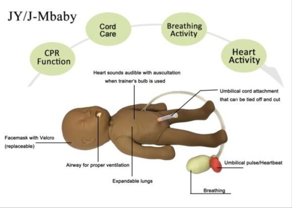 J-M Baby Newborn Baby Simulator