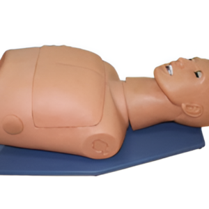 Half-body Airway Intubation and CPR Training Model