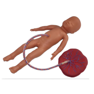 One Month Baby model manikin